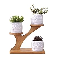 3pcs Owl Plant Pot Succulent Planter for Plant Lover, Mini Cactus Pot with Bamboo Stand Indoor Plant Pots for Women Gardening Gifts