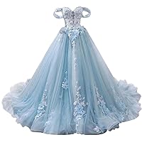 Ball Gown Tulle Off-The-Shoulder Sleeveless Applique Sweep/Brush Train Quinceanera Dresses