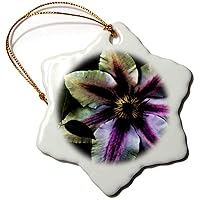 3dRose Photo Art of a Clematis Flower with Effects - Ornaments (orn-161048-1)