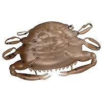 Berkley Gulp! Peeler Crab Saltwater Fishing Soft Bait, Natural Peeler, 1in