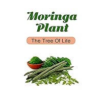 Moringa Plant: The Tree Of Life