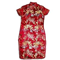 Flower Qi Pao/Chinese Dress