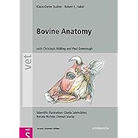 Bovine Anatomy (Vet (Schlutersche)) Bovine Anatomy (Vet (Schlutersche)) Hardcover