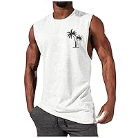 Men's Tank Shirts,Training Plus Size Muscle Sports Summer Bodybuilding Casual Sport Solid Shirt Trendy Tees