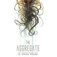 The Aggregate The Aggregate Paperback Kindle Hardcover