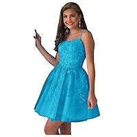 Blue Short Homecoming Dresses Appliques 2023 A-Line Tulle Prom Party Dress for Juniors 2