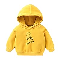 Fall Winter Toddler Fleece Hoodie Coat Baby Boys Girls Dinosaur Cartoon Print Hooded Jacket