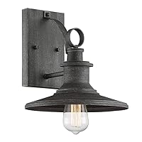 Designers Fountain Aurora 1 Light Outdoor Wall Lantern Sconce, Weathered Pewter, 10.5in W, D207M-10OW-WP