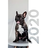 2020: Christmas gift for dog daycare Cool Planner Calendar Organizer Daily Weekly Monthly Student Diary for notes on frenchie presents French Bulldog