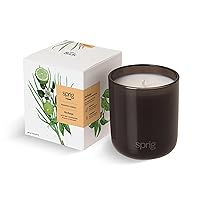 Sprig by Kohler Recharge Aromatherapy Candle with Bergamot and Lemongrass, 100% Natural Soy-Coconut Wax, Uplifting and Invigorating Scent, Gift for Holidays, 8 oz