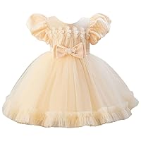 Infant Toddler Girls Tutu Tulle Dress Multi-Layer Hem Puff Short Sleeve Princess Dress Party Gown Special Occasion