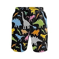 WIHVE Men's Beach Swim Trunks Dinosaur Boxer Swimsuit Underwear Board Shorts with Pocket