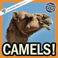 Camels!: A My Incredible World Picture Book for Children (My Incredible World: Nature and Animal Picture Books for Children)
