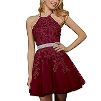 Tulle Homecoming Dresses for Teens 2024 Lace Applique Halter Short Prom Dresses Sparkly Beaded Formal Party Gowns A-Wine Red