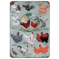 Fresh Eggs Chicken Metal Sign Farm Meat Collection Tin Poster Vintage Home Wall Plaque Painting Craft Farm House Decor (9#)