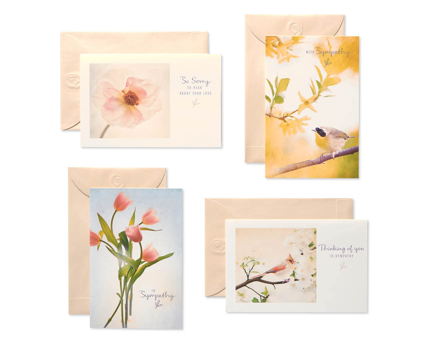 American Greetings Sympathy Cards Assortment with Envelopes, Floral (12-Count)