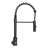 Lippert Flow Max Coiled Pull Down Kitchen Faucet for RVs and Residential,2021090598