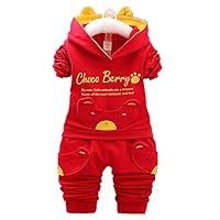 Baby Boys Clothes Bear Long Sleeve Hoodie Tops Sweatsuit Pants with Porket Outfit Set