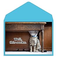 Graphique Cone Head Kitty Get Well Card | Feel Better Soon | Recovery | For Cat Lovers | Family and Friends | Color-Coordinated Envelope | 5