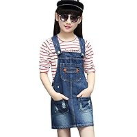 KIDSCOOL SPACE Baby Little Girls Fox Flowers Embroidered Lace Denim Overall Dress