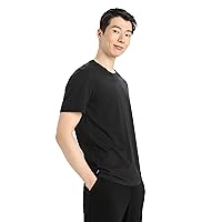 Icebreaker Men's Central Classic Short Sleeve Wool T Basic Casual Shirt