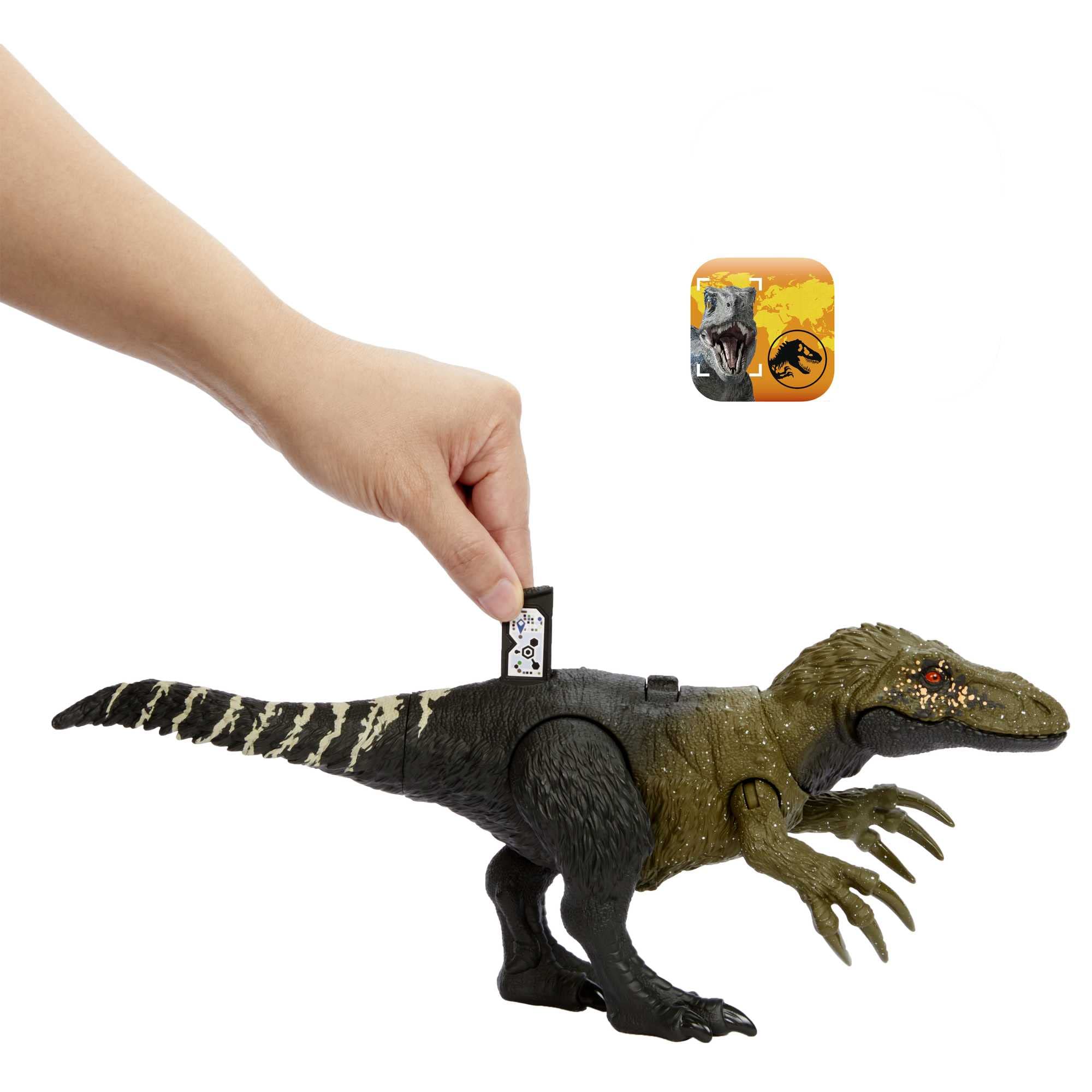 Jurassic World Dinosaur Toy Orkoraptor with Roar Sound & Attack Action, Wild Roar Posable Figure, Physical & Connected Digital Play