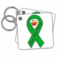 3dRose Key Chains Cool Green Ribbon and Sun Mental Health Support and Awareness (kc-362949-1)