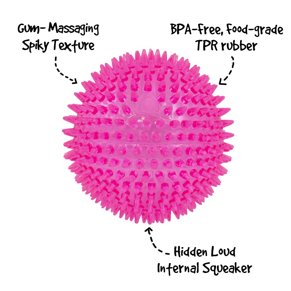Gnawsome™ 4.5” Spiky Squeaker Ball Dog Toy - Extra Large, Cleans Teeth and Promotes Good Dental and Gum Health for Your Pet, Colors will vary, 4.5"