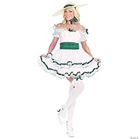 Sexy Southern Belle Costume - Small/Medium - Dress Size 2-8