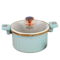 Micro Pressure Cooker Enamel Lining Non-stick 5L Push Pull Lock Pressure Pot with Lid Silicone Seal Spill-proof Valve Pressure Pot for Cooking Pressure Cookers