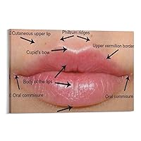 ESyem Posters Beauty Salon Poster Lip Anatomy Art Poster Plastic Surgeon Gift Poster (2) - 副本 Canvas Art Poster And Wall Art Picture Print Modern Family Bedroom Decor 20x30inch(50x75cm) Frame-style