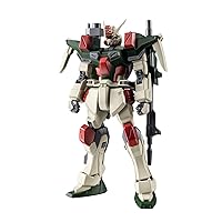 TAMASHII NATIONS - Mobile Suit Gundam Seed - GAT-X103 Buster Gundam ver. A.N.I.M.E., Bandai Spirits The Robot Spirits Figure