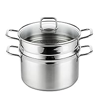 Qiangcui 2 Tier Stainless Steel Steamer Pot with Stackable Pan Insert/Lid, Steam Pot for Cooking Vegetables, Seafood, Food Steamer, Steamer Cookware Pot