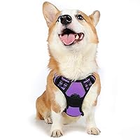 rabbitgoo Dog Harness, No-Pull Pet Harness with 2 Leash Clips, Adjustable Soft Padded Dog Vest, Reflective No-Choke Pet Oxford Vest with Easy Control Handle for Medium Dogs, Purple, M