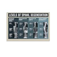 Chiropractor Levels Of Spinal Degeneration Poster Chiropractic Decor Canvas Painting Posters Poster for Room Aesthetic Posters & Prints on Canvas Wall Art Poster for Room 08x12inch(20x30cm)