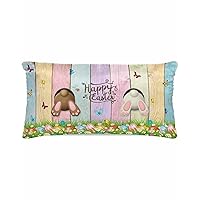 Silk Pillowcase for Hair and Skin King, Happy Easter Eggs Bunny Tail Daisy Colorful Wood Grain Standard Size Pillow Cases Soft Breathable Pillow Covers with Zipper, 20x40 Inches