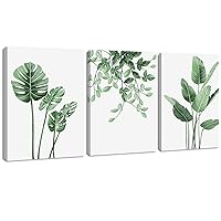 Tropical Artwork Green Leaf Prints - Botanical Plants Paintings 3 Pieces of One Set Modern Wall Art Monstera Still Life Foliage Pictures Posters Decor For Restaurant Hotel Office UNFRAMED 12×16 Inches