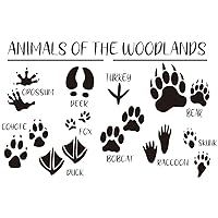 Create a Magical Forest in Your Child's Room with Our Woodland Animals Wall Sticker and Animal Footprints Wall Sticker - Removable PVC Decals for Nursery and Kids' Room Decor effect size 15