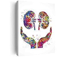 Watercolor Abstract Canvas Wall Art,Kidney Care Watercolor Print Gastrointestinal Nephrology Clinic Decor Urologist Gift Dialysis Nurse Gift Medical Art Hemodialysis Gift- 16in x20 in-Ready to hang