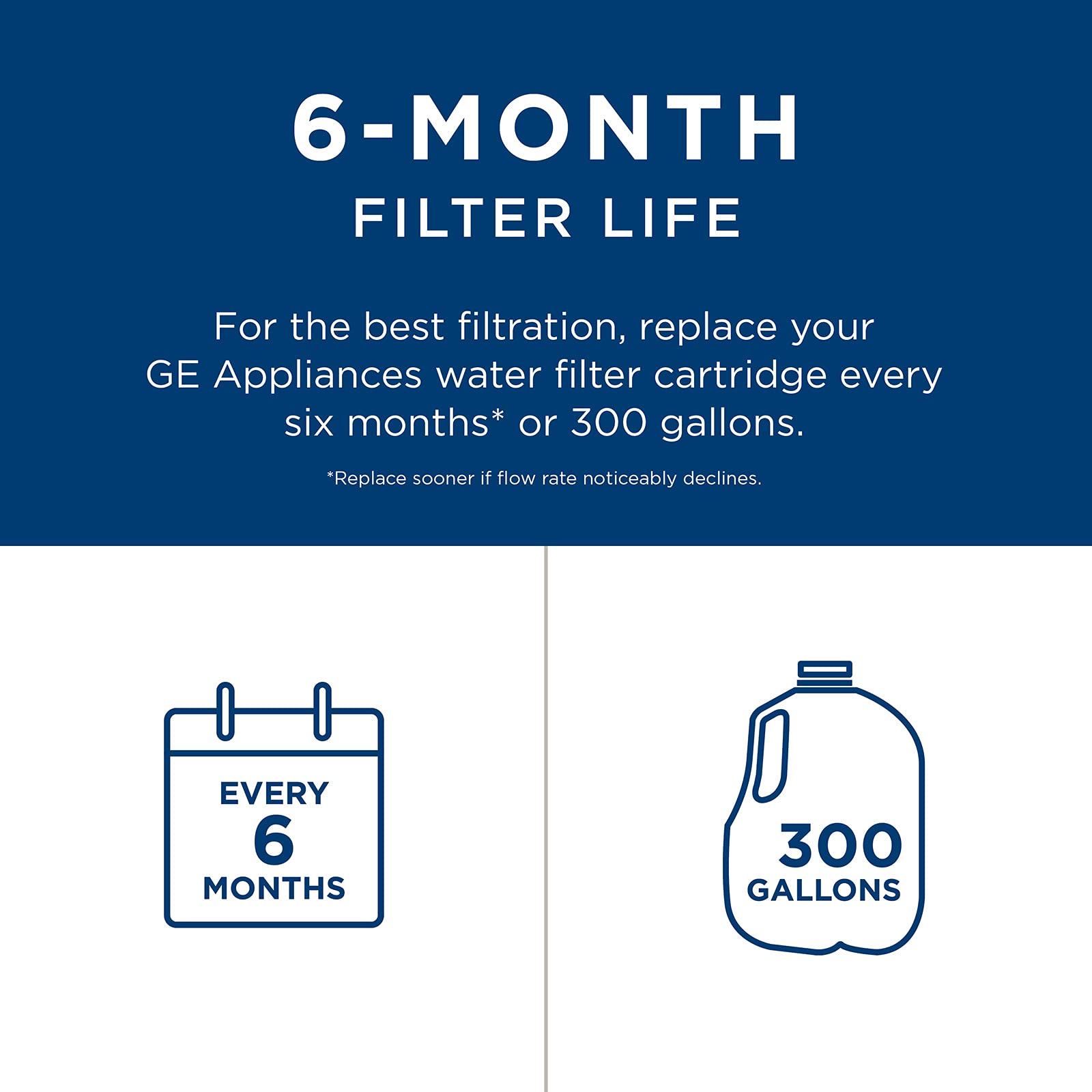 GE RPWFE Refrigerator Water Filter | Certified to Reduce Lead, Sulfur, and 50+ Other Impurities | Replace Every 6 Months for Best Results | Pack of 2