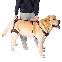 COODEO Mobility Dog Lift Harness, Support Sling for Dog, Dog Walking Sling, Pet Rear Leg Support Rehabilitation Lifts Vest, Dog Carrier for Senior Dogs with Arthritis, Up Stair (Red, S)