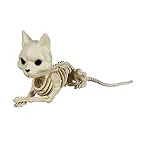 Crazy Bonez W82196 Cute Skeleton Cat, No Size, Bone