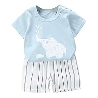 2 Piece Outfits Set For Toddler Boy/Girl Clothes Cute Cartoon/Letter Tees Shirts Matching Shorts Outfits 6M-6T