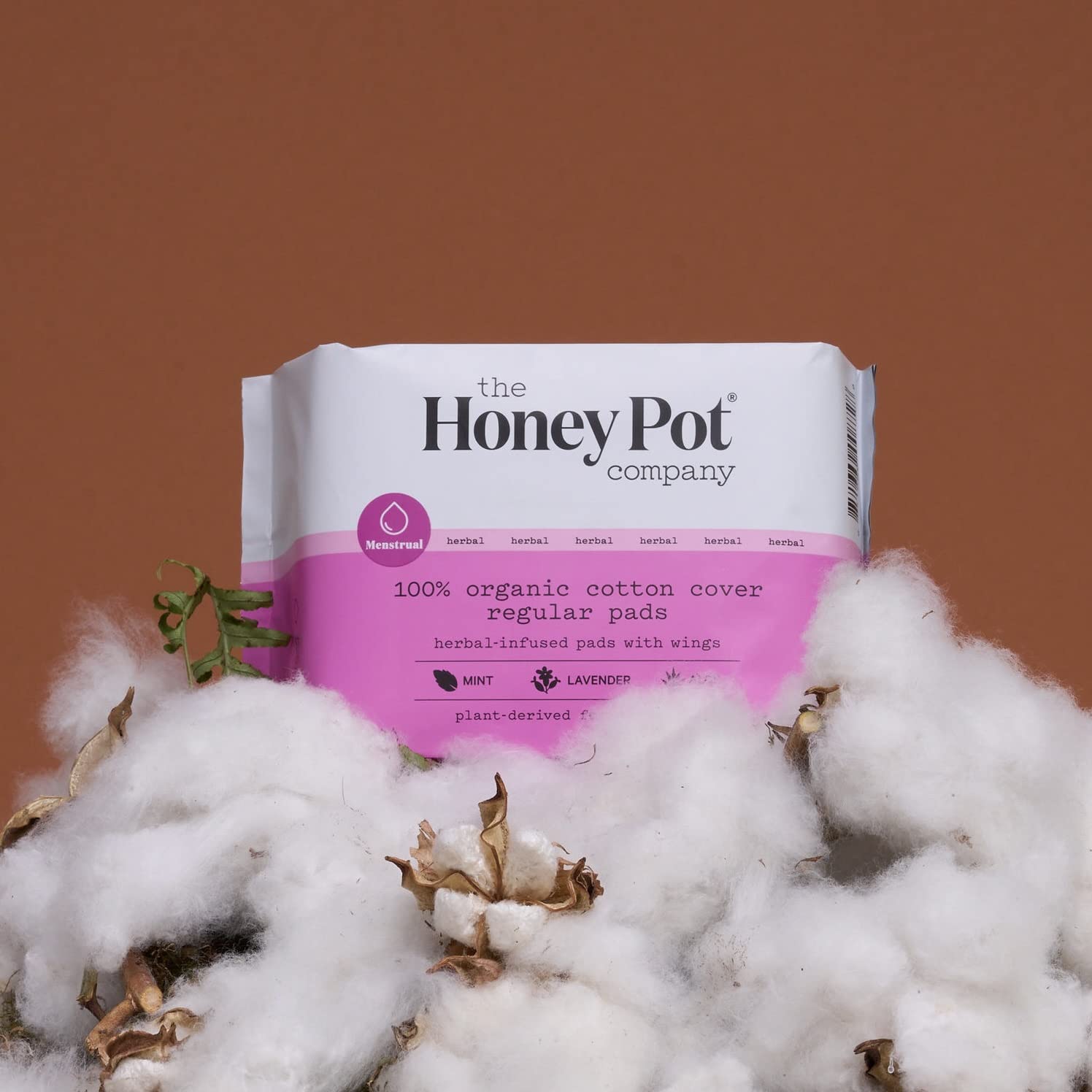 The Honey Pot Company - Regular Flow Pads with Wings - Organic Pads for Women - Herbal Infused w/Essential Oils for Cooling Effect, Cotton Cover, & Ultra-Absorbent Pulp Core - Feminine Care - 20 ct