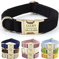 PETDURO Custom Dog Collar Personalized with Name Engraved Quick Release Rose Gold Metal Buckle for Large Medium Small Girl Dogs - Dog Leash and Bow Tie Available - Soft Comfy Velvet (Black G, XL)