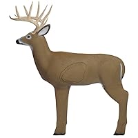 Buck 3D Deer Archery Target