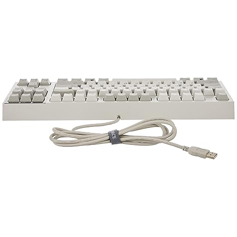 Fujitsu Realforce R2 Keyboard (Tenkeyless, Ivory, 55G)