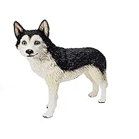 Conversation Concepts Husky, Black and White with Blue Eyes Figurine