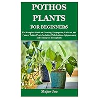 POTHOS PLANTS FOR BEGINNERS: The Complete Guide on Growing, Propagation,Varieties, and Care of Pothos Plants Including Philodendron,Epipremnum and Scindapsus Houseplants POTHOS PLANTS FOR BEGINNERS: The Complete Guide on Growing, Propagation,Varieties, and Care of Pothos Plants Including Philodendron,Epipremnum and Scindapsus Houseplants Paperback