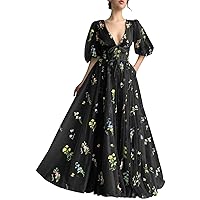 Flower Embroidery Tulle Prom Dresses V Neck Long Puffy Sleeves Formal Evening Gowns for Women